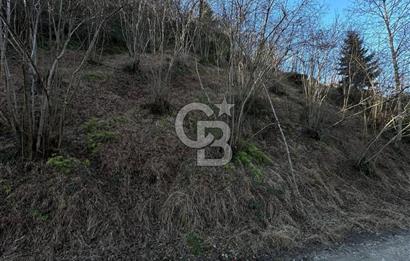 TRABZON ARSİN YENİMAHALLE SATILIK ARSA 