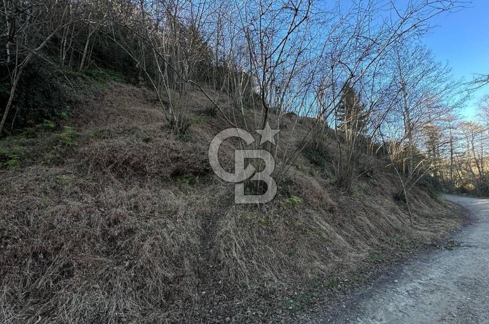 TRABZON ARSİN YENİMAHALLE SATILIK ARSA 