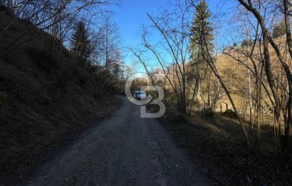 TRABZON ARSİN YENİMAHALLE SATILIK ARSA 