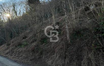 TRABZON ARSİN YENİMAHALLE SATILIK ARSA 