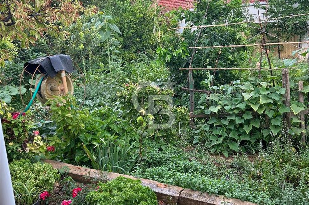 Manisa Turgutlu Avşar Mahallesinde 3.982m² Bakımlı Meyve Bahçesi