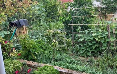 Manisa Turgutlu Avşar Mahallesinde 3.982m² Bakımlı Meyve Bahçesi