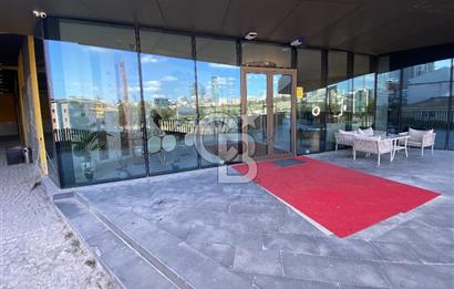 KADIKÖY NUHOĞLU YENİTEPE B BLOK CADDE ÜZERİ 200 M2 DÜKKAN & MAĞAZA