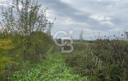 Manisa Turgutlu Avşar Mahallesinde 3.982m² Bakımlı Meyve Bahçesi