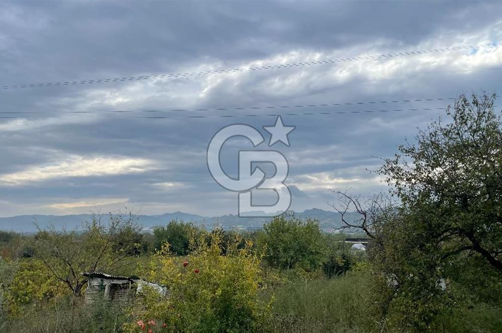 Manisa Turgutlu Avşar Mahallesinde 3.982m² Bakımlı Meyve Bahçesi