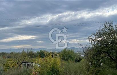 Manisa Turgutlu Avşar Mahallesinde 3.982m² Bakımlı Meyve Bahçesi