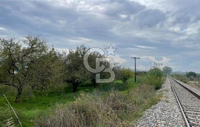 Manisa Turgutlu Avşar Mahallesinde 3.982m² Bakımlı Meyve Bahçesi