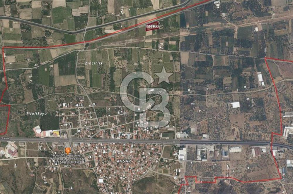 Manisa Turgutlu Avşar Mahallesinde 3.982m² Bakımlı Meyve Bahçesi