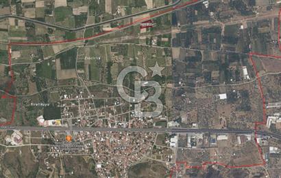 Manisa Turgutlu Avşar Mahallesinde 3.982m² Bakımlı Meyve Bahçesi