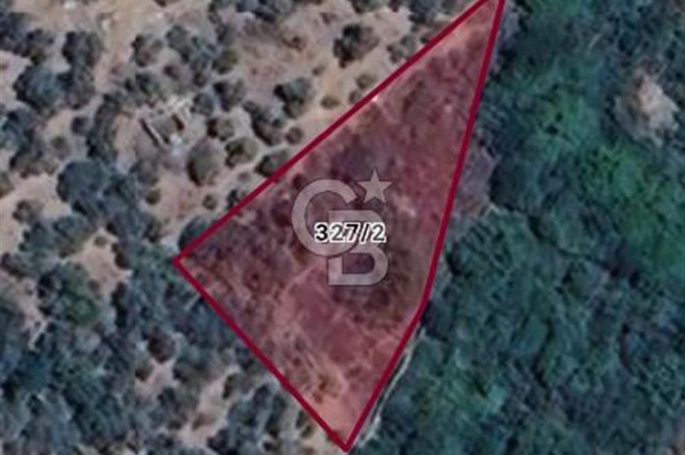 BAYINDIR / KIZILAOBADA SATILIK TARLA 927 M2