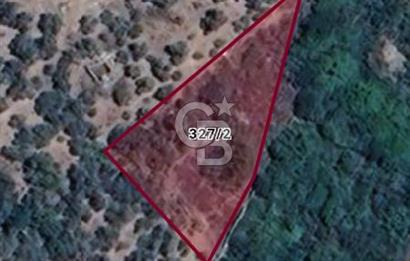 BAYINDIR / KIZILAOBADA SATILIK TARLA 927 M2