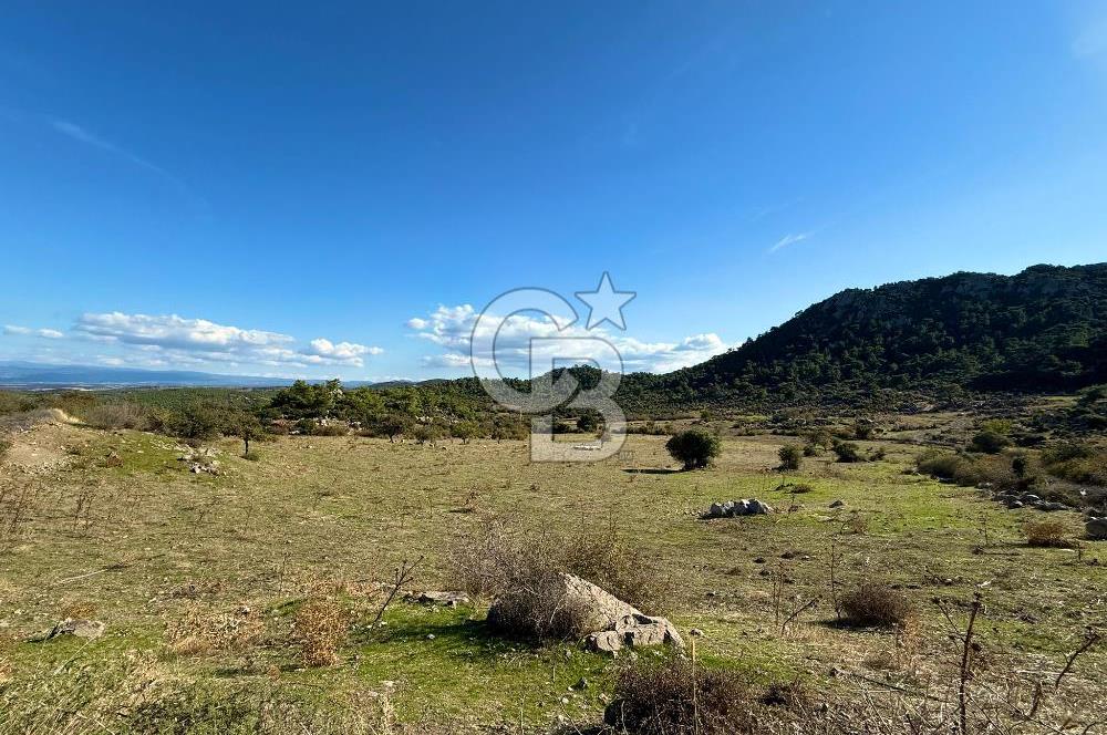 ÇANAKKALE'DE GEYİKLİ YOLUNDA SATILIK ARSALAR