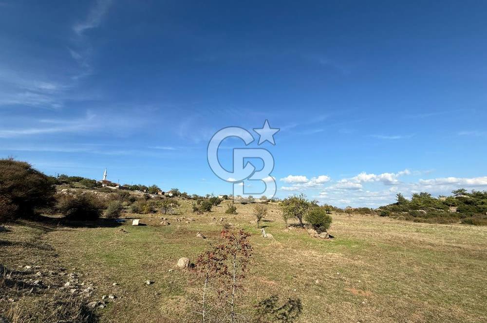 ÇANAKKALE'DE GEYİKLİ YOLUNDA SATILIK ARSALAR