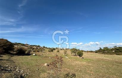 ÇANAKKALE'DE GEYİKLİ YOLUNDA SATILIK ARSALAR