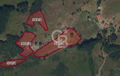 AKKUŞ KARAÇAL'DA SATILIK ARSALAR