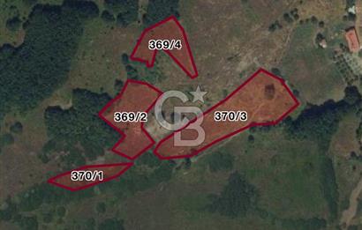 AKKUŞ KARAÇAL'DA SATILIK ARSALAR