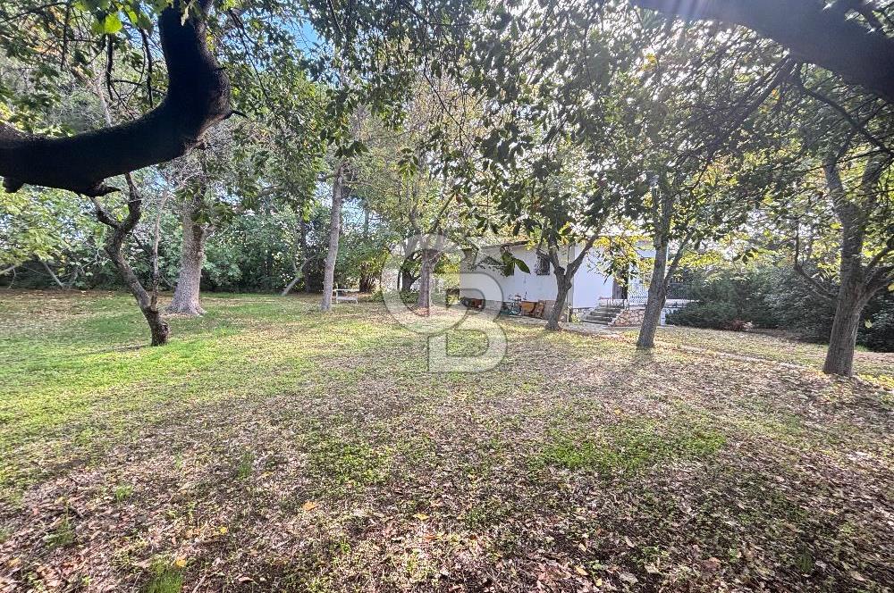 Silivri Semizkumlar'da 1660 M2 Bahçeli Arsa