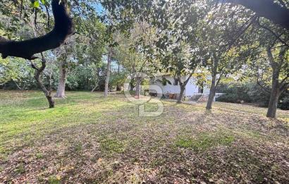 Silivri Semizkumlar'da 1660 M2 Bahçeli Arsa