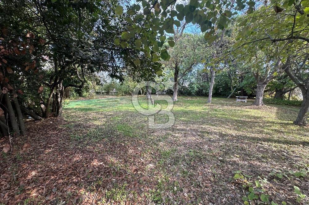 Silivri Semizkumlar'da 1660 M2 Bahçeli Arsa