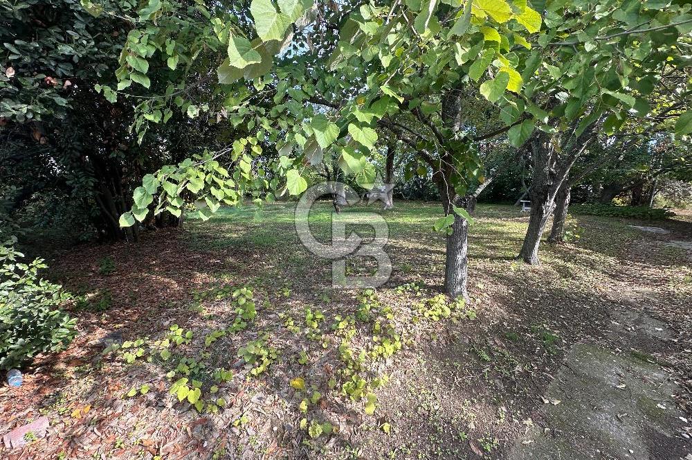 Silivri Semizkumlar'da 1660 M2 Bahçeli Arsa