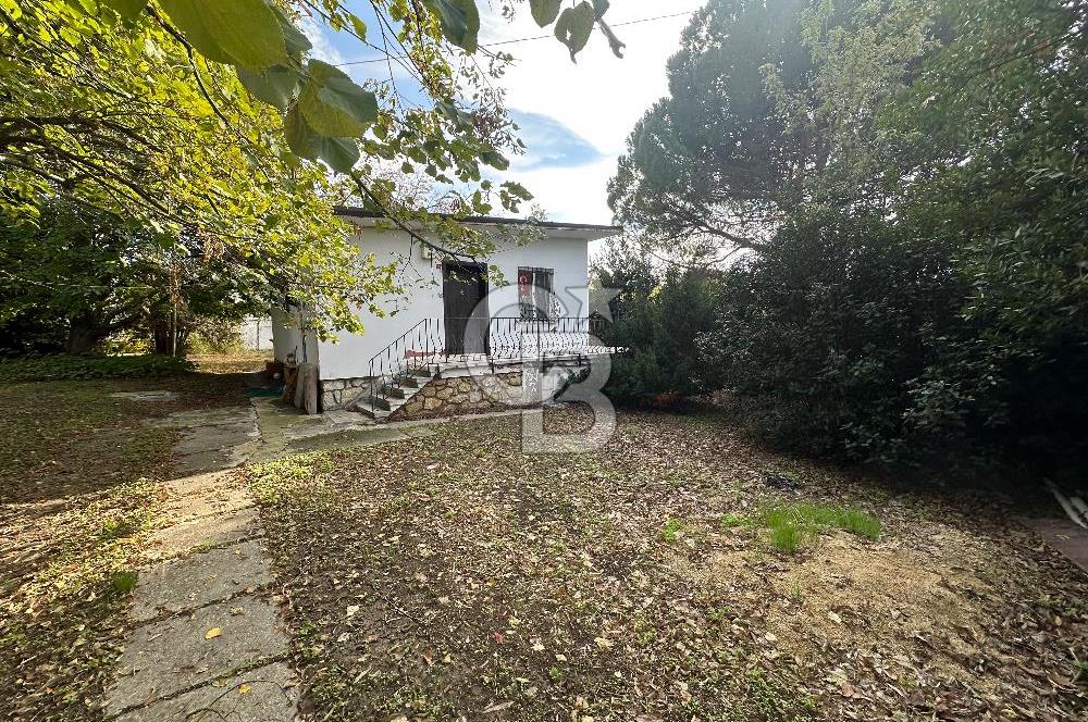 Silivri Semizkumlar'da 1660 M2 Bahçeli Arsa