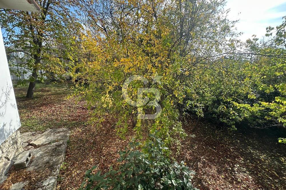 Silivri Semizkumlar'da 1660 M2 Bahçeli Arsa