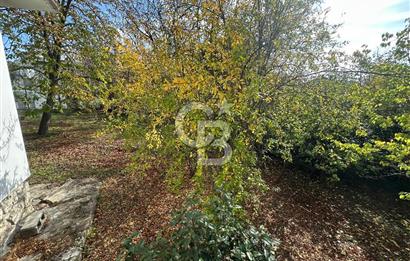 Silivri Semizkumlar'da 1660 M2 Bahçeli Arsa