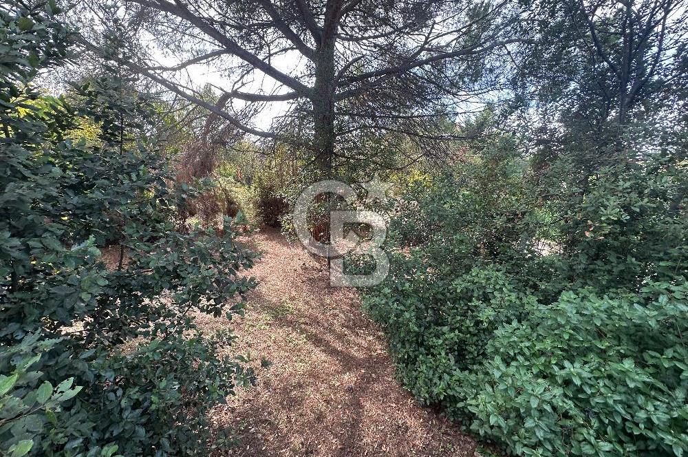 Silivri Semizkumlar'da 1660 M2 Bahçeli Arsa