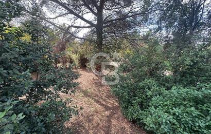 Silivri Semizkumlar'da 1660 M2 Bahçeli Arsa