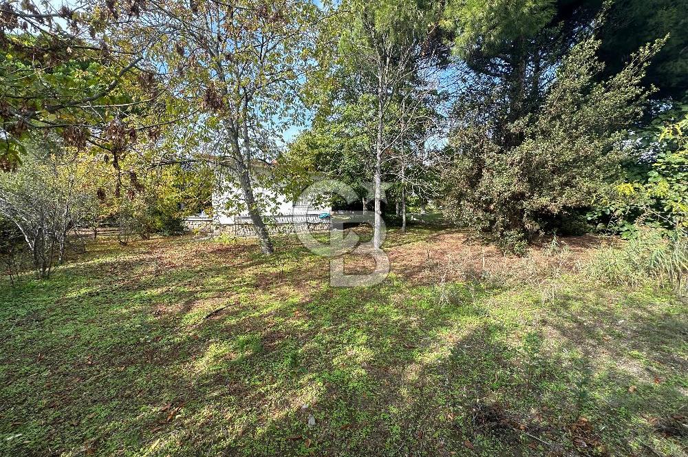 Silivri Semizkumlar'da 1660 M2 Bahçeli Arsa