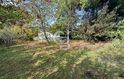 Silivri Semizkumlar'da 1660 M2 Bahçeli Arsa