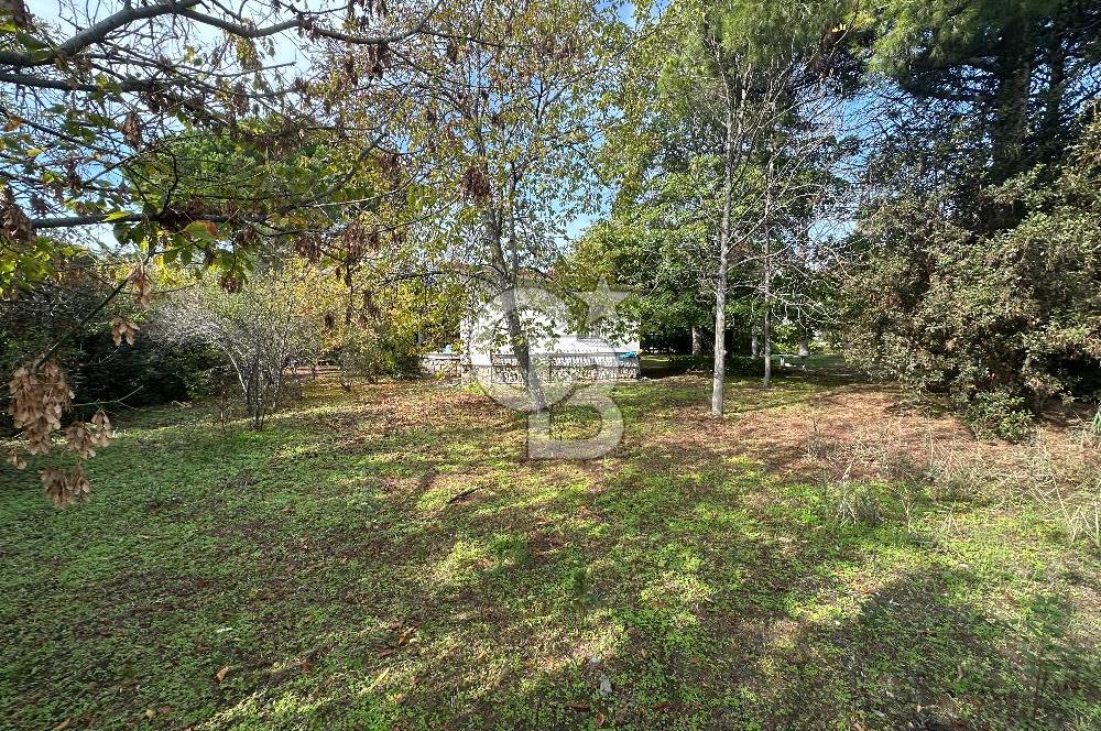 Silivri Semizkumlar'da 1660 M2 Bahçeli Arsa