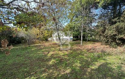 Silivri Semizkumlar'da 1660 M2 Bahçeli Arsa