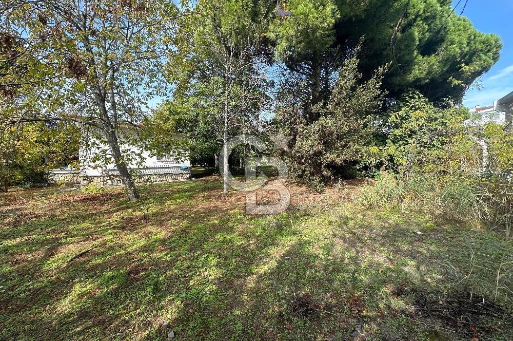 Silivri Semizkumlar'da 1660 M2 Bahçeli Arsa