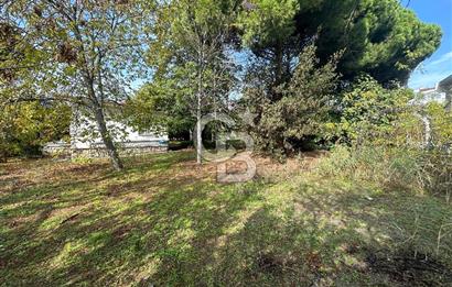 Silivri Semizkumlar'da 1660 M2 Bahçeli Arsa