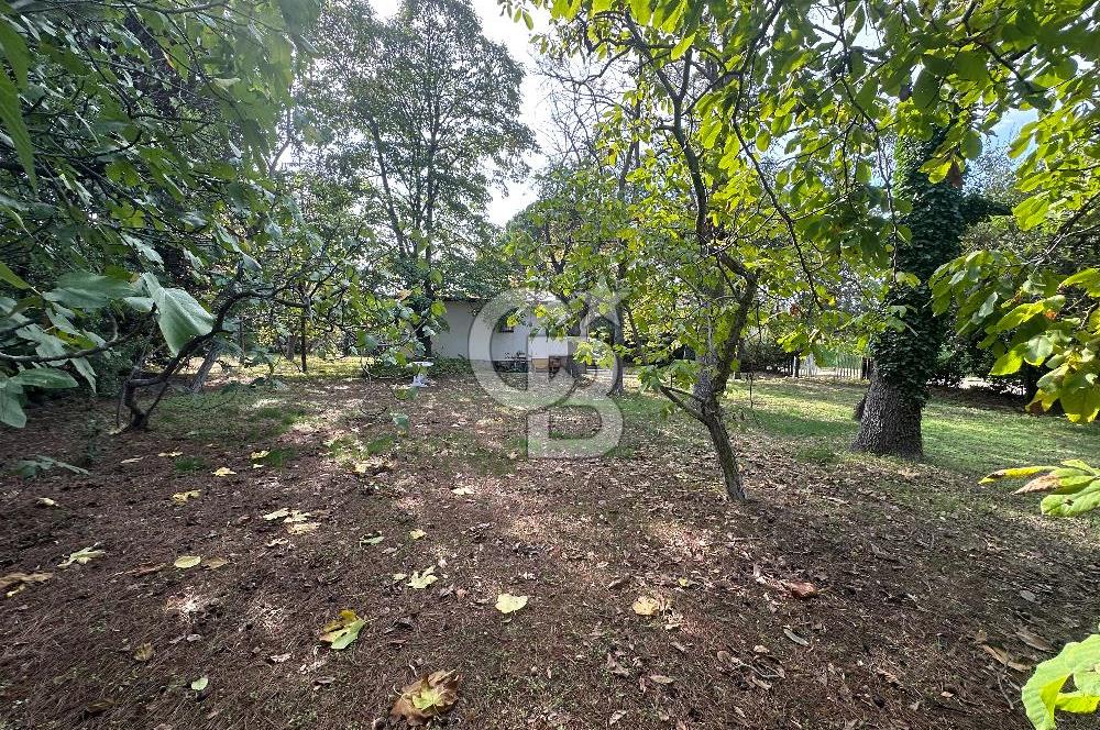 Silivri Semizkumlar'da 1660 M2 Bahçeli Arsa