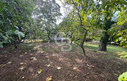 Silivri Semizkumlar'da 1660 M2 Bahçeli Arsa