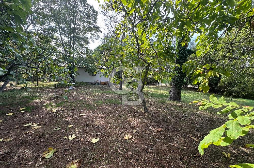 Silivri Semizkumlar'da 1660 M2 Bahçeli Arsa