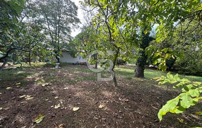 Silivri Semizkumlar'da 1660 M2 Bahçeli Arsa