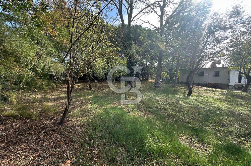 Silivri Semizkumlar'da 1660 M2 Bahçeli Arsa