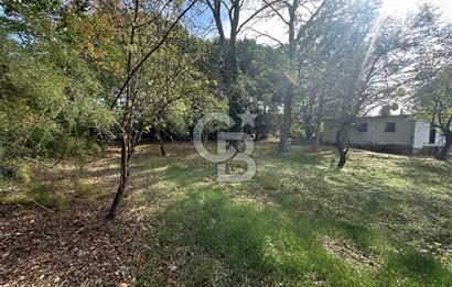 Silivri Semizkumlar'da 1660 M2 Bahçeli Arsa