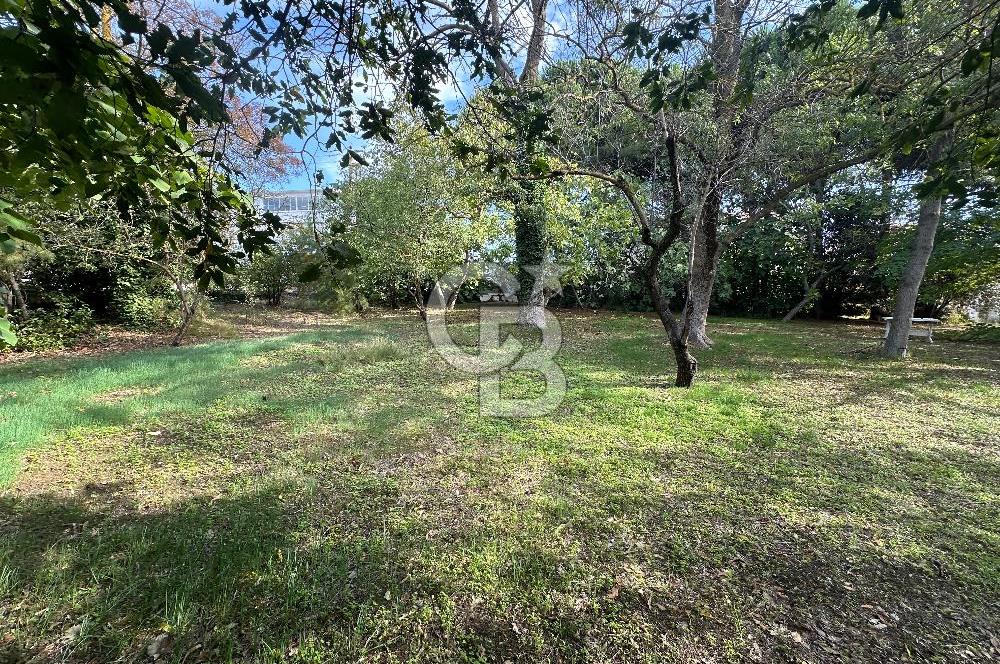 Silivri Semizkumlar'da 1660 M2 Bahçeli Arsa