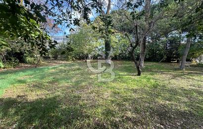 Silivri Semizkumlar'da 1660 M2 Bahçeli Arsa