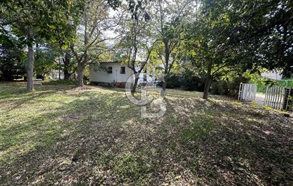 Silivri Semizkumlar'da 1660 M2 Bahçeli Arsa