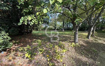 Silivri Semizkumlar'da 1660 M2 Bahçeli Arsa