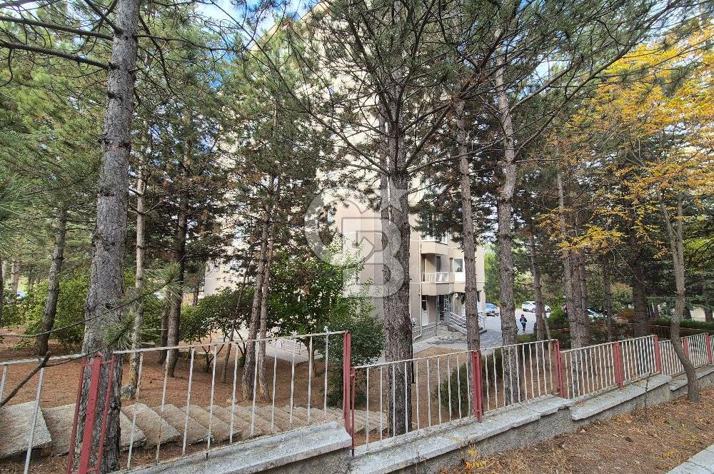 Çiğdem Mah. 2.Kat | 3+1 Kiralık Daire | Site içi | Açık Otopark