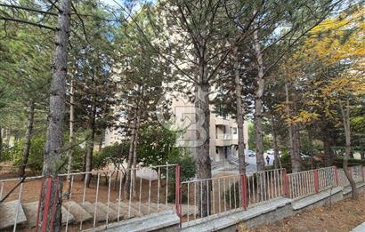 Çiğdem Mah. 2.Kat | 3+1 Kiralık Daire | Site içi | Açık Otopark