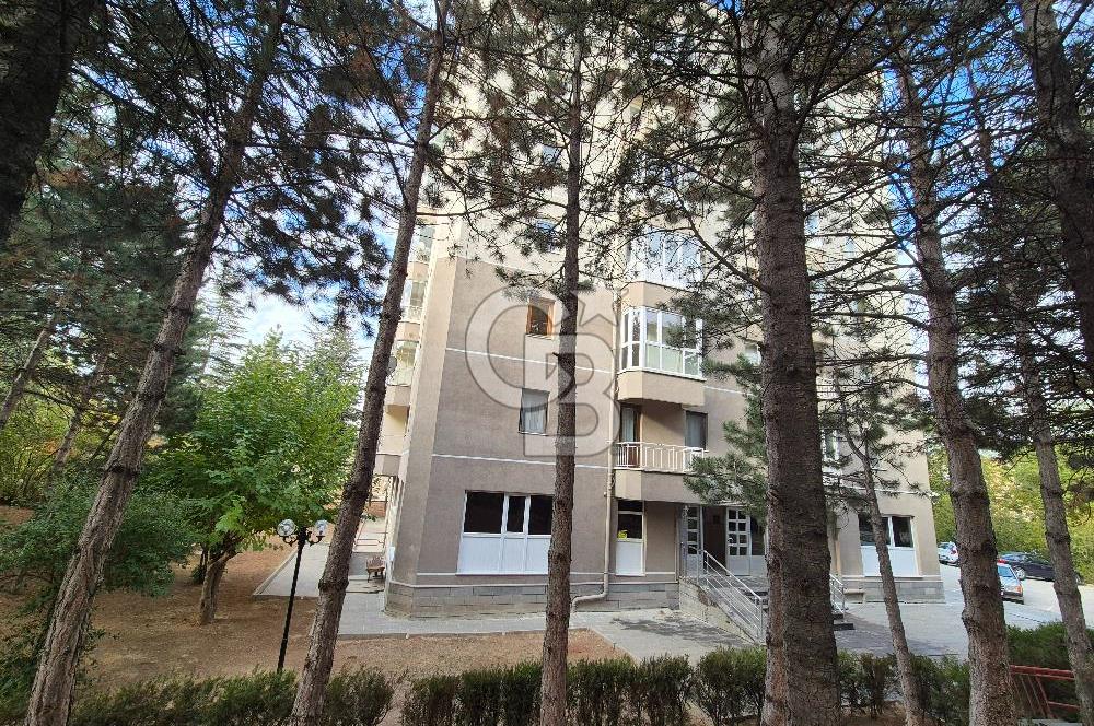 Çiğdem Mah. 2.Kat | 3+1 Kiralık Daire | Site içi | Açık Otopark