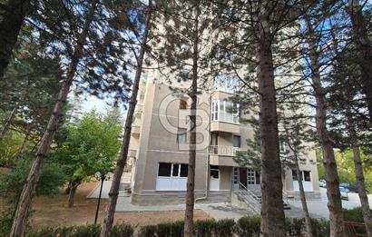 Çiğdem Mah. 2.Kat | 3+1 Kiralık Daire | Site içi | Açık Otopark