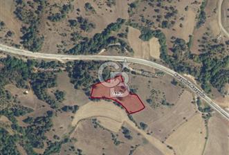 YENİCE'DE 1915 ÇANAKKALE KÖPRÜ OTOYOL GÜZERGAHINDA 8.385m² TARLA